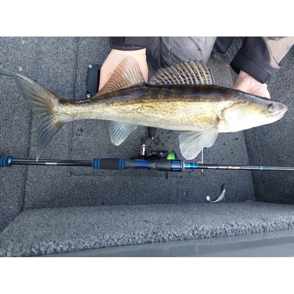 Patriot XXX Zander Verticaal Baitcaster Rod 2.06m (7-28g)