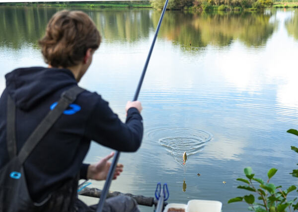 Cresta Centurion Comp Pro S440 Super Pack Vaste Hengel 11.5m