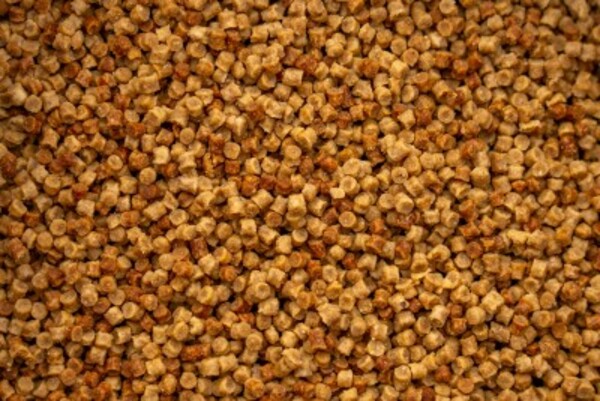 Mainline SK2 Pellet 2mm (1kg)