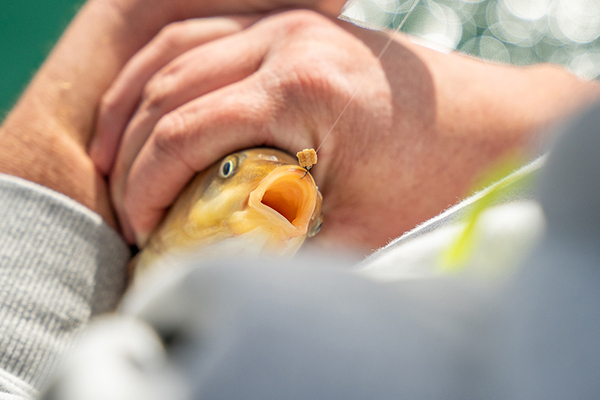 Matrix Super Soft Bait Bands (100 sztuk)