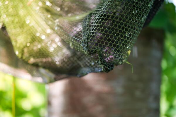 Ultimate Full Float Carp Net Camo 42"