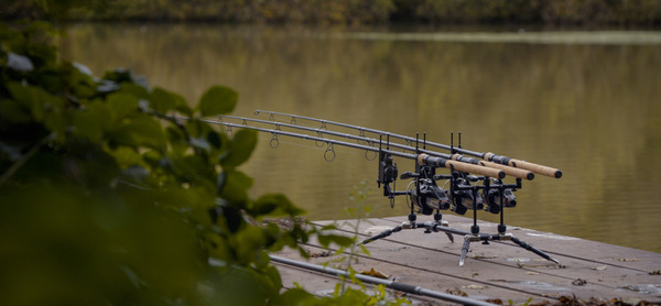 Solar Blacklite Worldwide Rodpod