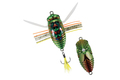 DUO Realis Shinmushi - CCC3218 - Kinkame