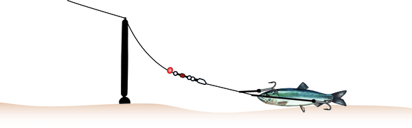 Balzer MK Adventure Deadbait Bottom Fishing Set 3