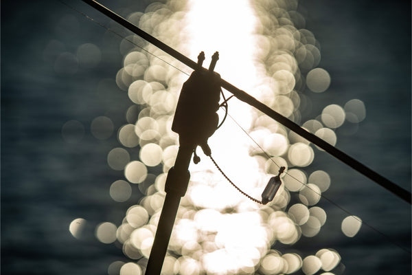 Nash Siren Bobbin Kit Small Black Indicator