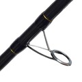 Tronixpro Exodus Aurum Competition Tip Beachcaster Rod (100-200g) (3-Piece)