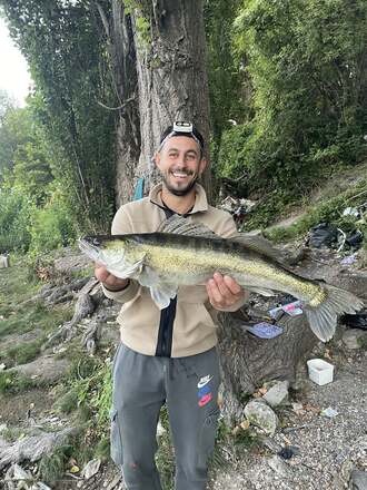 Le précédent gagnant