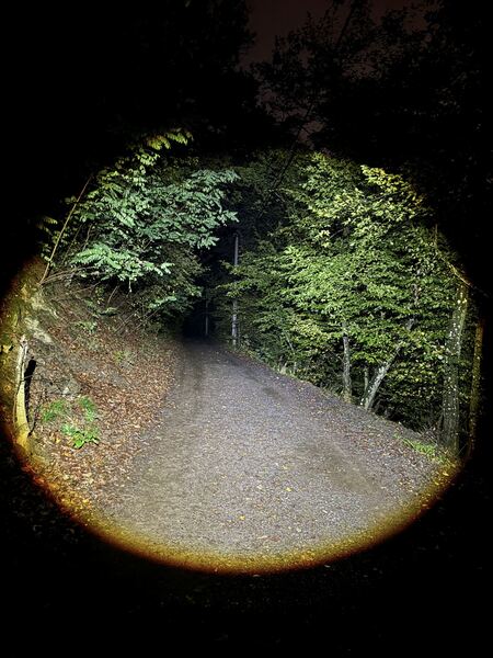 Holdcarp Zoomable Sensor Headlight