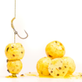 Pro Line Sweet Maggot & Cream Boilies (5kg)
