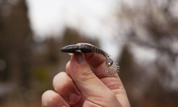 M-WAR Drop Shot Party Pack Sandy, 15 pieces!