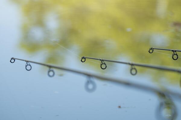 Ultimate Adventure Carp Triple Rod Set