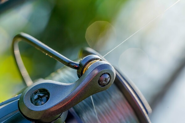 Guru N-Gauge Specimen Baitrunner Reel