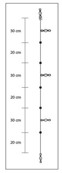 Asari Bajo Squid I Squid Rig Fluorocarbon 150cm (0.30mm)
