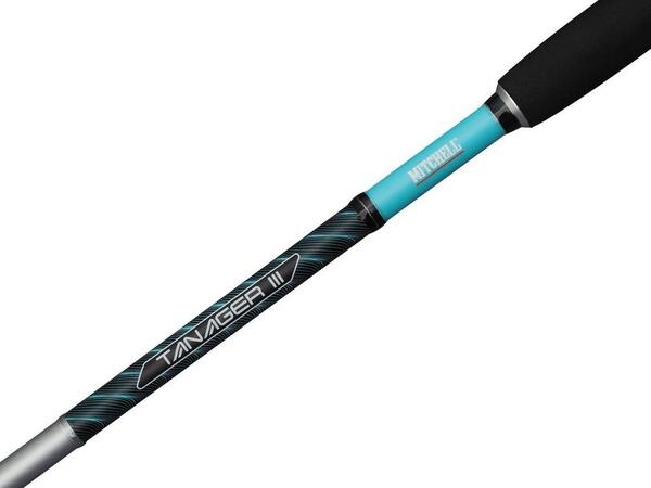 Mitchell Tanager 3 SW 182 50/100 Squid Rod Combo