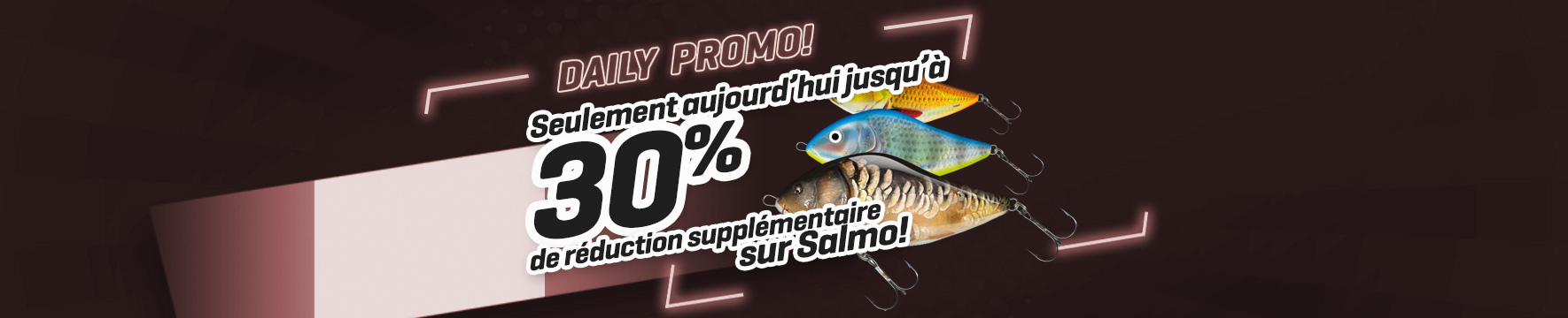 Topbanner: Tot 30% Salmo