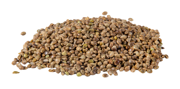 Chènevis sec Ultimate Reaction Particles (5kg)