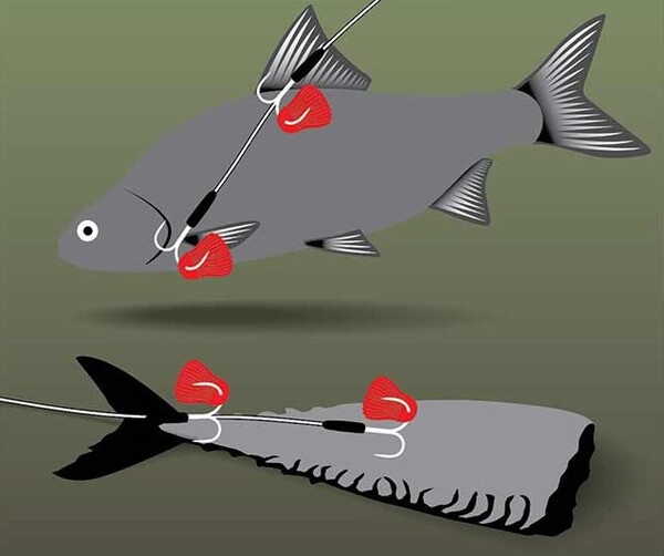 Fox Rage Predator Twin Treble Trace Vorfach Size 4 (52cm) 