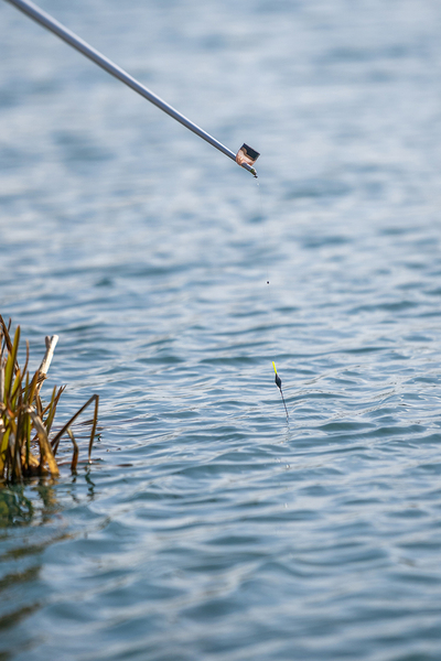 Matrix Super Short Dacron Connectors (5 pieces)