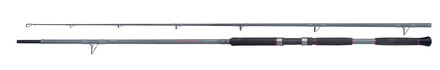 Shimano Forcemaster AX Catfish Meervalhengel