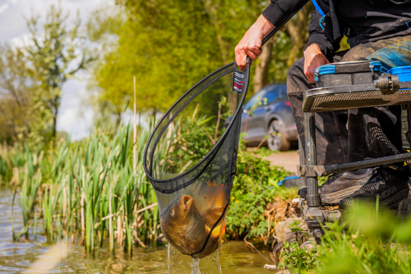 Preston Carbon Hair Mesh Landingsnet