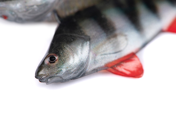 Fox Rage Ultra Natural Fillet Shad 8cm (4 Stuks)