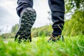 Guru Waterproof Trainer Black