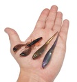 Kit Ultimate Dropshot Senza piombo 150cm 0.30mm 7 + 9.5cm (10g) (9pcs) - Natural