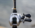 Daiwa 25 AIRD Baitcaster Reel LH