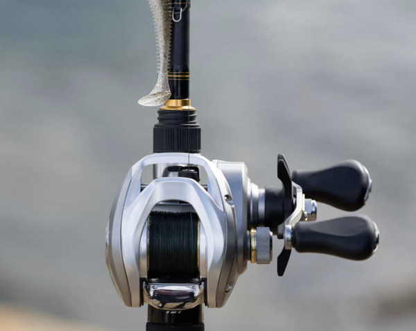 Daiwa 25 AIRD Baitcaster Reel LH