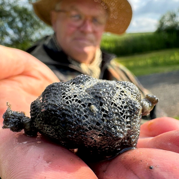 Atraktor Fjuka Sensate™ Fish Accelerant 50ml