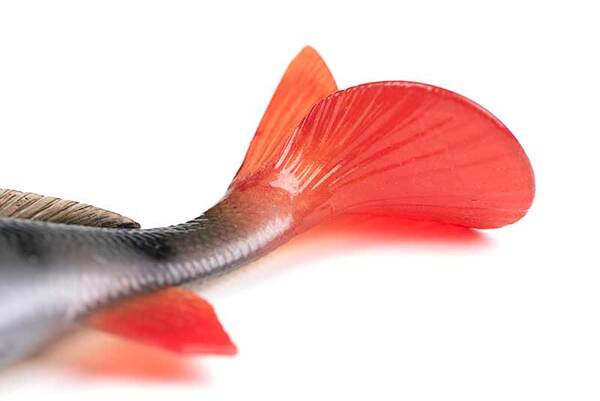 Fox Rage Ultra-Realistic Perch Replicant Swimbait 10cm (22g)