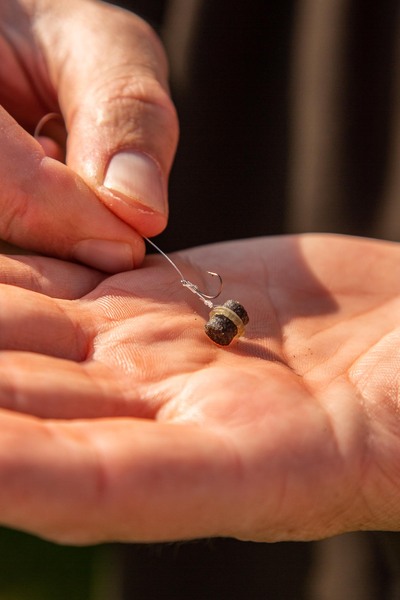 Ultimate Pellet Bander Inclusief Bait Bands