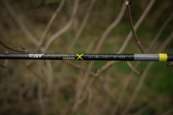 Black Cat Perfect Passion X Casting Meerval Baitcaster 2.20m (30-150g)