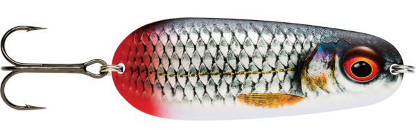 Rapala Nauvo Lepel - Live Roach