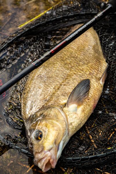 Ultimate Allround Power Feederhengel