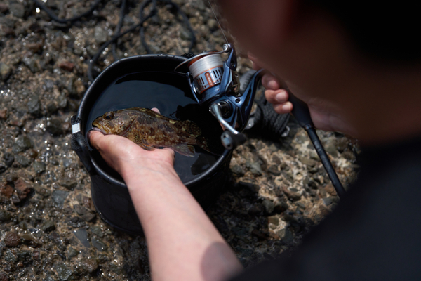 Shimano Nasci FD Spin Reel