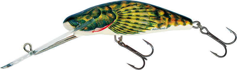 Salmo Fatso Wobbler Pullbait RD real dace hasel im Köder Laden kaufen