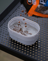 Matrix Mini Expander Tub (0.5pt)