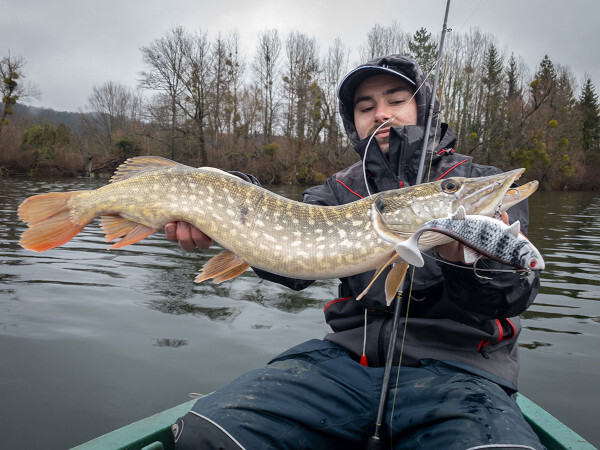 Fox Rage Replicant Wobble