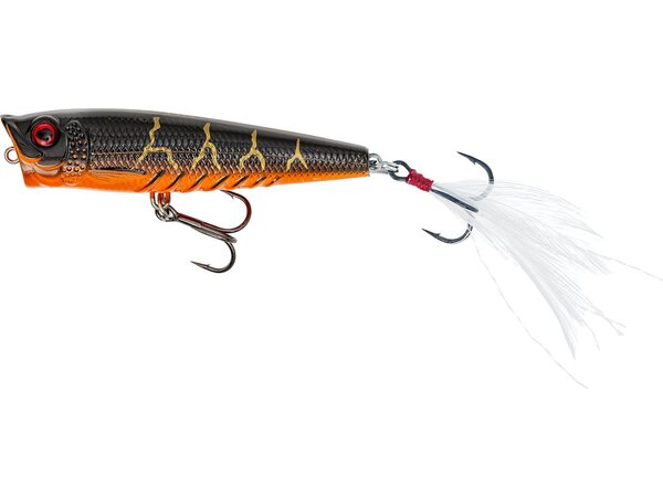 Westin Gift Box Radosław Witólski's Favorites (6pcs)