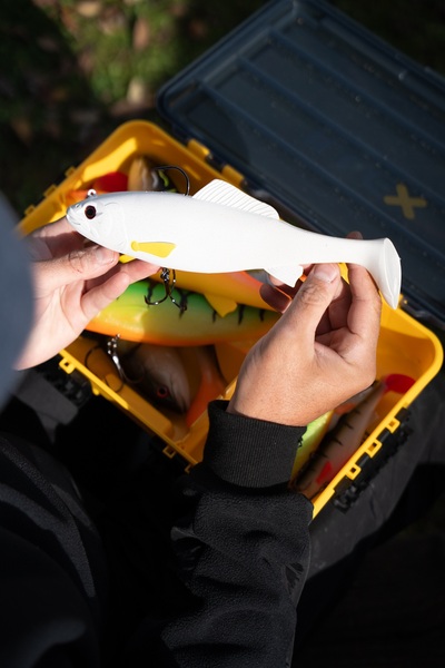 Illex Sucker Punch 250 MR Swimbait 25cm (205g)